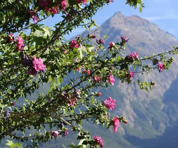 La Maison De Vali شقة